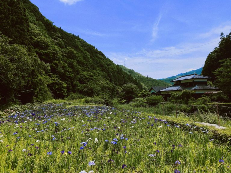 How the “Real Japan” Offers Healing to Depleted Individuals