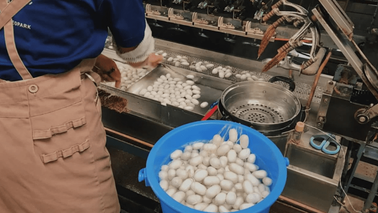 How I Learned to Live a Slow Life From Silk Farming in Japan