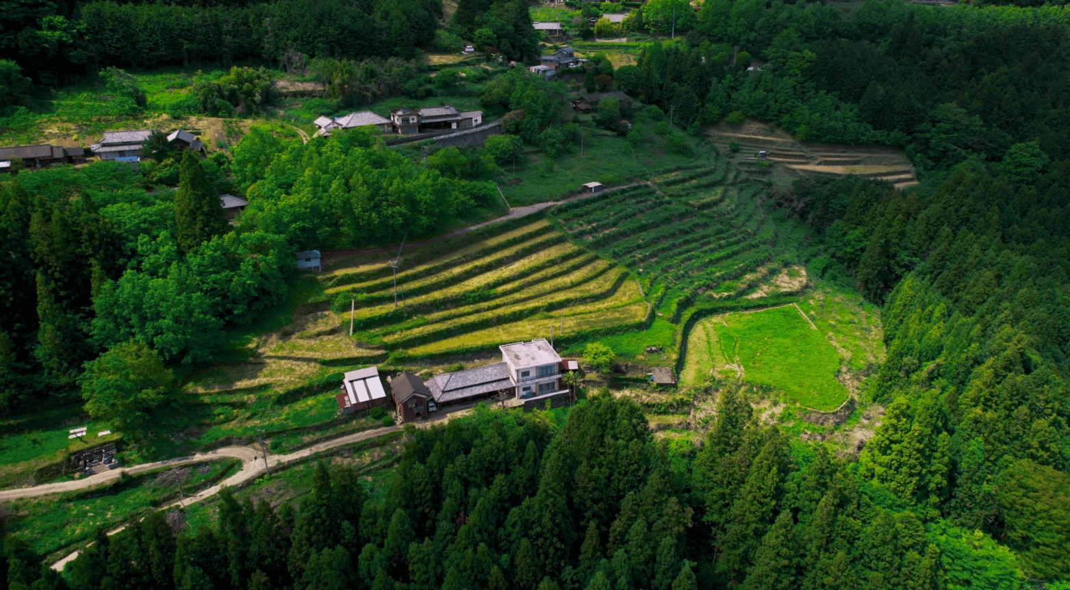 Japanese Countryside homestead akiya house